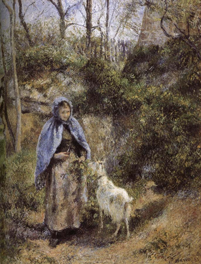 Woman sheep